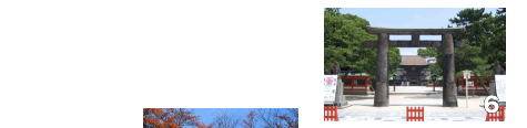 筥崎宮。延長元年（923）に創建された石清水、宇佐などと並ぶ日本三大八幡宮のひとつ。