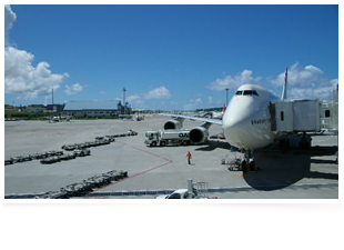 飛行機ででお越しの方